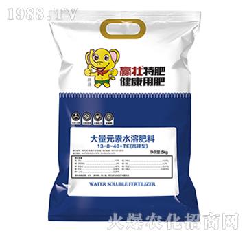 ����ʹ���Ԫ��ˮ�ܷ���13-8-40+TE-�A��-��ɭ�r��