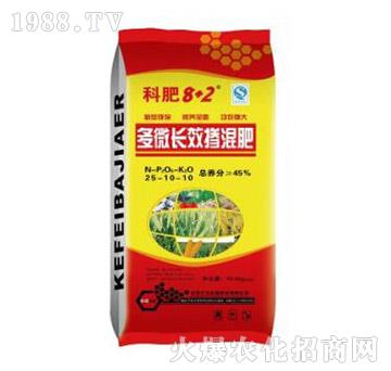 ��΢�LЧ�����26-10-10-���ηʘI(y��)