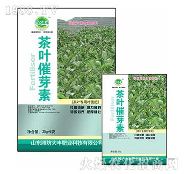 25g���~��ѿ��-��@���S-���S�ʘI(y��)