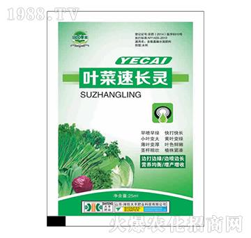 �~�����L�`-��@���S-���S�ʘI(y��)