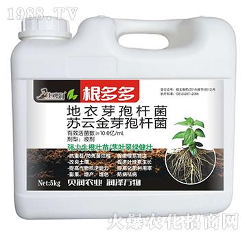 �����-�߲�ؐ��-��ķ�_(d��)