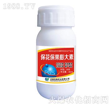 �������������-���䌍�I(y��)