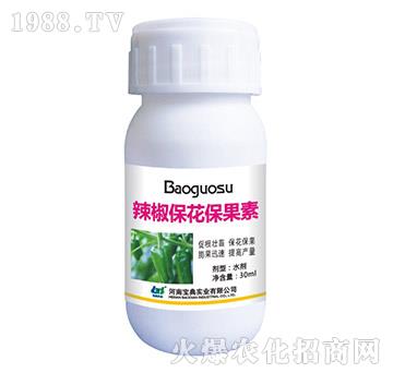 ��������������-���䌍�I(y��)