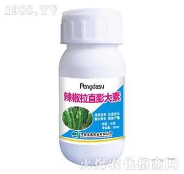 ������ֱ�����-���䌍(sh��)�I(y��)