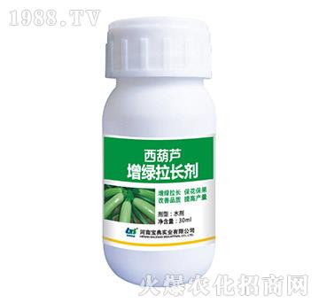 �����J���G���L��-���䌍(sh��)�I(y��)