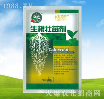 �������焩-ֲ��-�S�r(n��ng)�r(n��ng)��