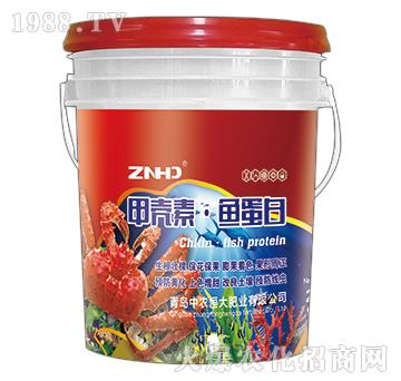 �ך��ء��~����-���r(n��ng)���