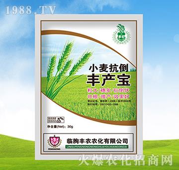 С�������S�a��-�S�r�r��