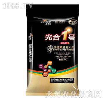 ���Ҿ�������-���1̖-ʥ���m