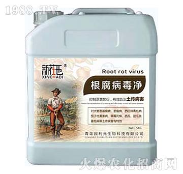 ����������Ͱ�b-�@��Ԫ