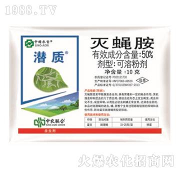 50%��ω��-���|(zh��)-���r(n��ng)(li��n)��