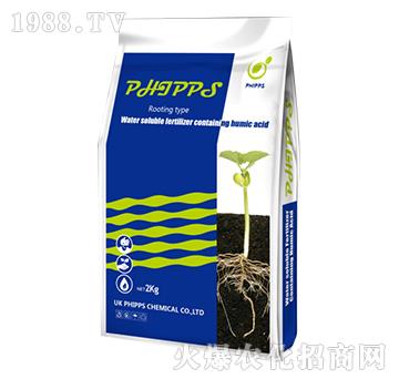 Ӣ��(gu��)�M(j��n)�ڷ�����˹������-���r(n��ng)�S