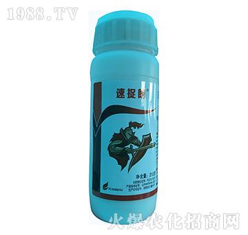 12%�׾S���x(ch��ng)����-��׽��-�\(y��n)ʢ����