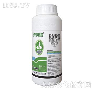 20%��֬���~-��(li��n)����-��(li��n)