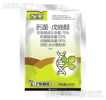 75%뿾�������-�n��-��(li��n)