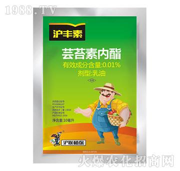 0.01%�|̦�؃���-���S��-��