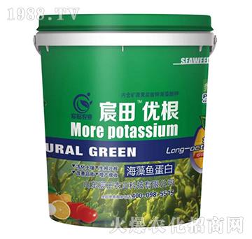 �����~����-��(y��u)��-����r(n��ng)�I(y��)