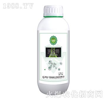 ���w�\-��(r��n)�ژ�(l��)-̩����