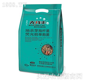 ����ѿ�ߗU�����ɹ�ΰ��U��-�o(w��)���S-̩����