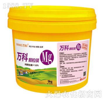 �w���V-�f��