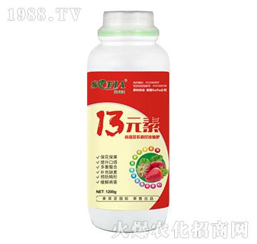 13Ԫ�أ�1200g��-���Ɓ�