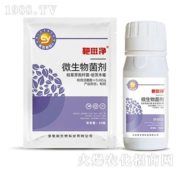 ΢�������-�а߃�-���