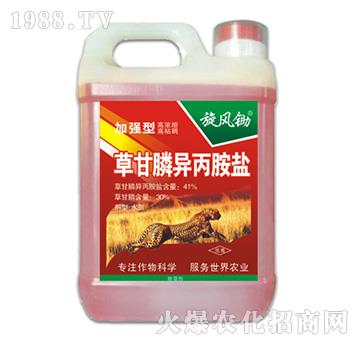 41%�ݸ�좮������}���ӏ�(qi��ng)�ͣ�-���L(f��ng)�z-�ݵ�˹