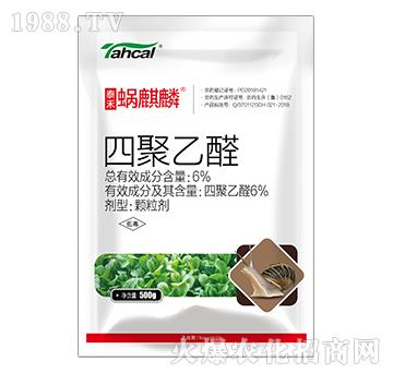 6%�ľ���ȩ��500�ˣ�-΁����-̩�̻���