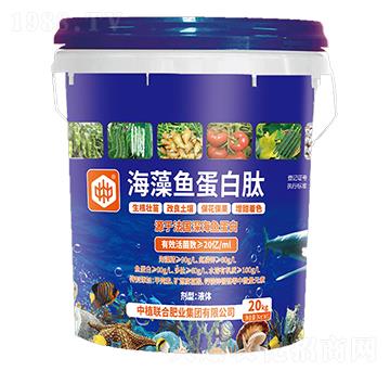 �����~������-��ֲ(li��n)��