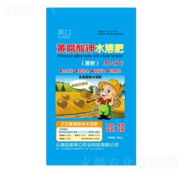 �S�����ˮ�ܷ�-ˬ��-�µ����