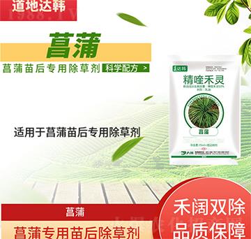 ���ѳ��݄�-�������-���ь���-���n