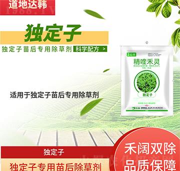 ��(d��)���ӳ��݄�-��(d��)�������-��(d��)���ӌ���-���n