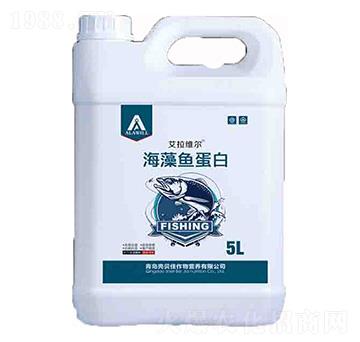 �����~(y��)����-�����S��-��ؐ��