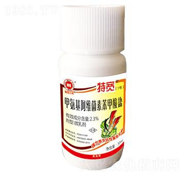 �װ������S���ر������}-�،�1̖-��������