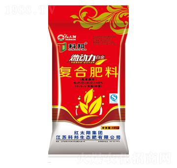 ΢����������(f��)�Ϸ���30-5-5-�ư����B(t��i)