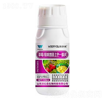 ��ݮ������������ɫһ���`-�֠���(y��u)