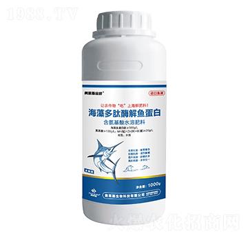 ƿ�b�������ø���~(y��)����-�W�R˹���~-�W�R˹