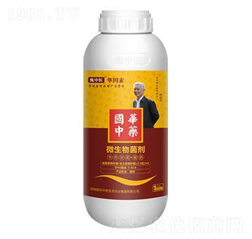 ΢�������-�����t(y��)���A����-���A��ˎ