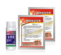 ���y��-���Y(ji��)���x(ch��ng)��(zhu��n)��