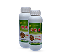 �B���Ը��Y(ji��)���x(ch��ng)��(zhu��n)��-������