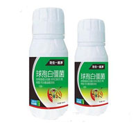 ���߰׽���-���x(ch��ng)һ���