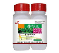 25%�ࡤ����������