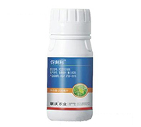 �������x(ch��ng)��(zhu��n)��