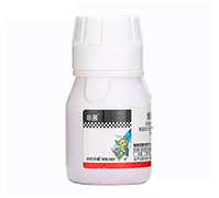 �׷�ʭ��(zhu��n)��-��չ