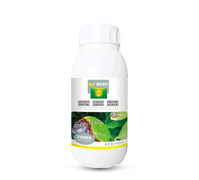 ̿�Ҳ�����