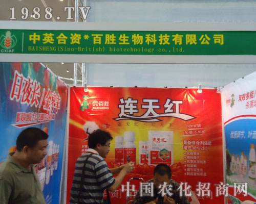 百勝連天紅閃亮登場2011新疆農資會