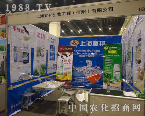 葉帝封、玉哥齊比拼