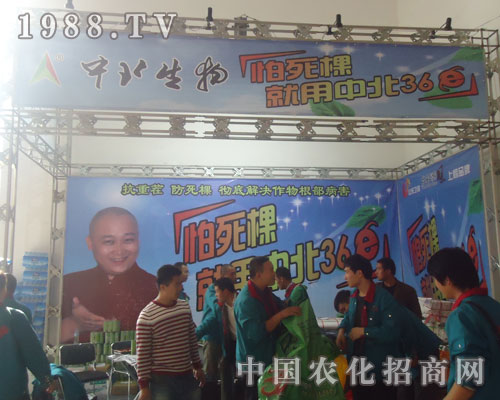 怕死棵，就用中北36E