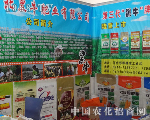 �ӱ���ţ�ʘI(y��)�ںʝ��r(n��ng)�Y��(hu��)�ϵ���Ӱ