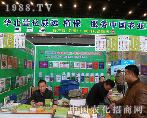 �滯���h(yu��n)�ٴ΁����˶�ʮ�ˌú���ֲ���p����(hu��)